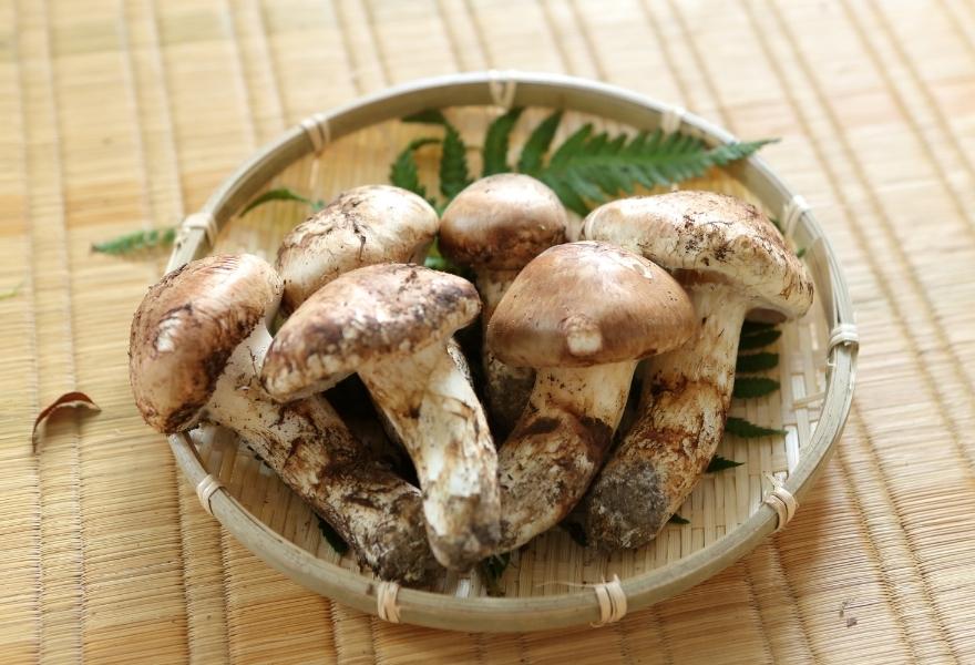 грибной японский
